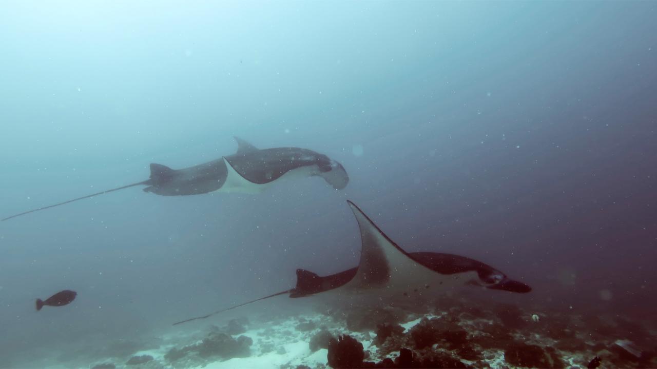 Absolute Scuba Bali Dive Resort ปาดังไบ ภายนอก รูปภาพ